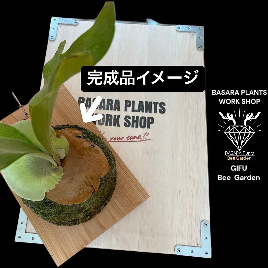 BASARA plants 板付けworkshop