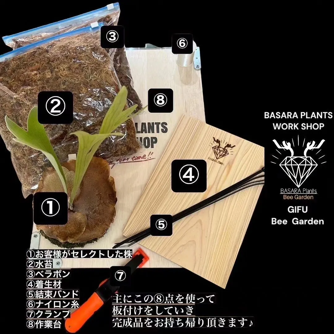 BASARA plants 板付けworkshop