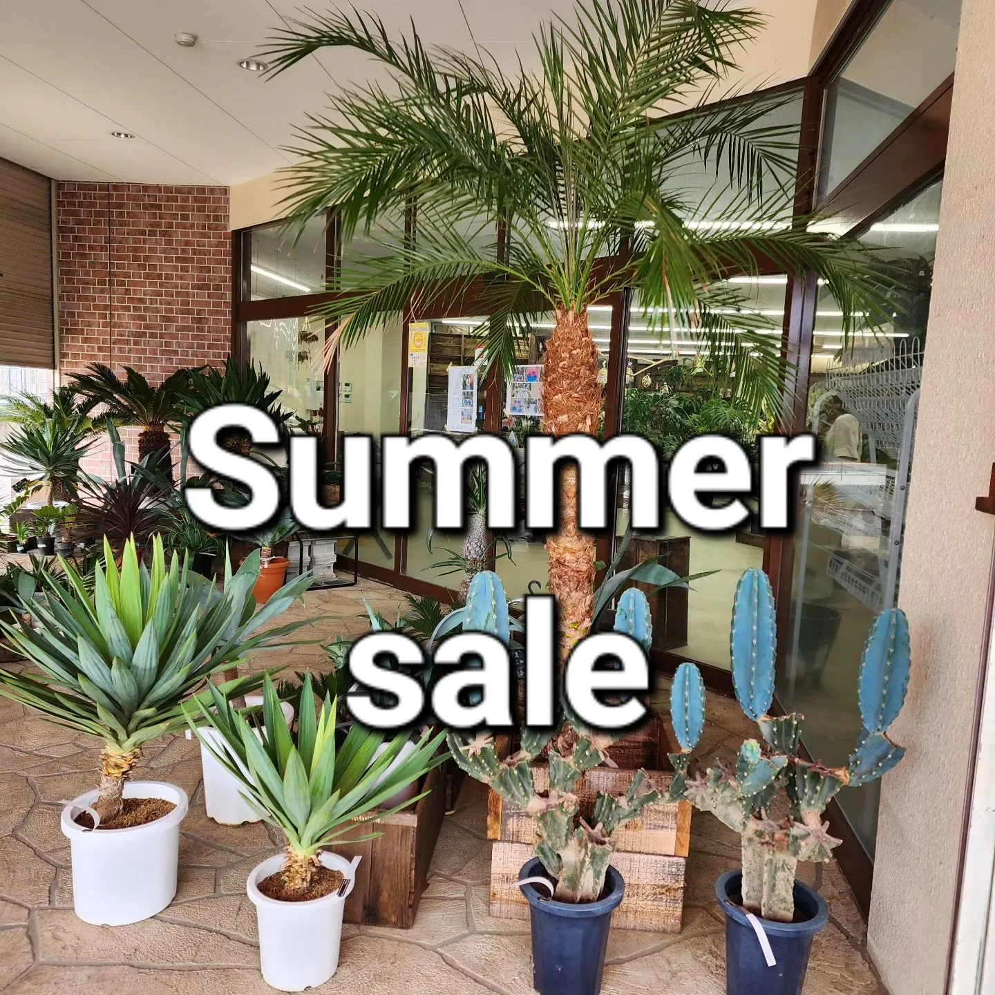 Summer saleはじまります！