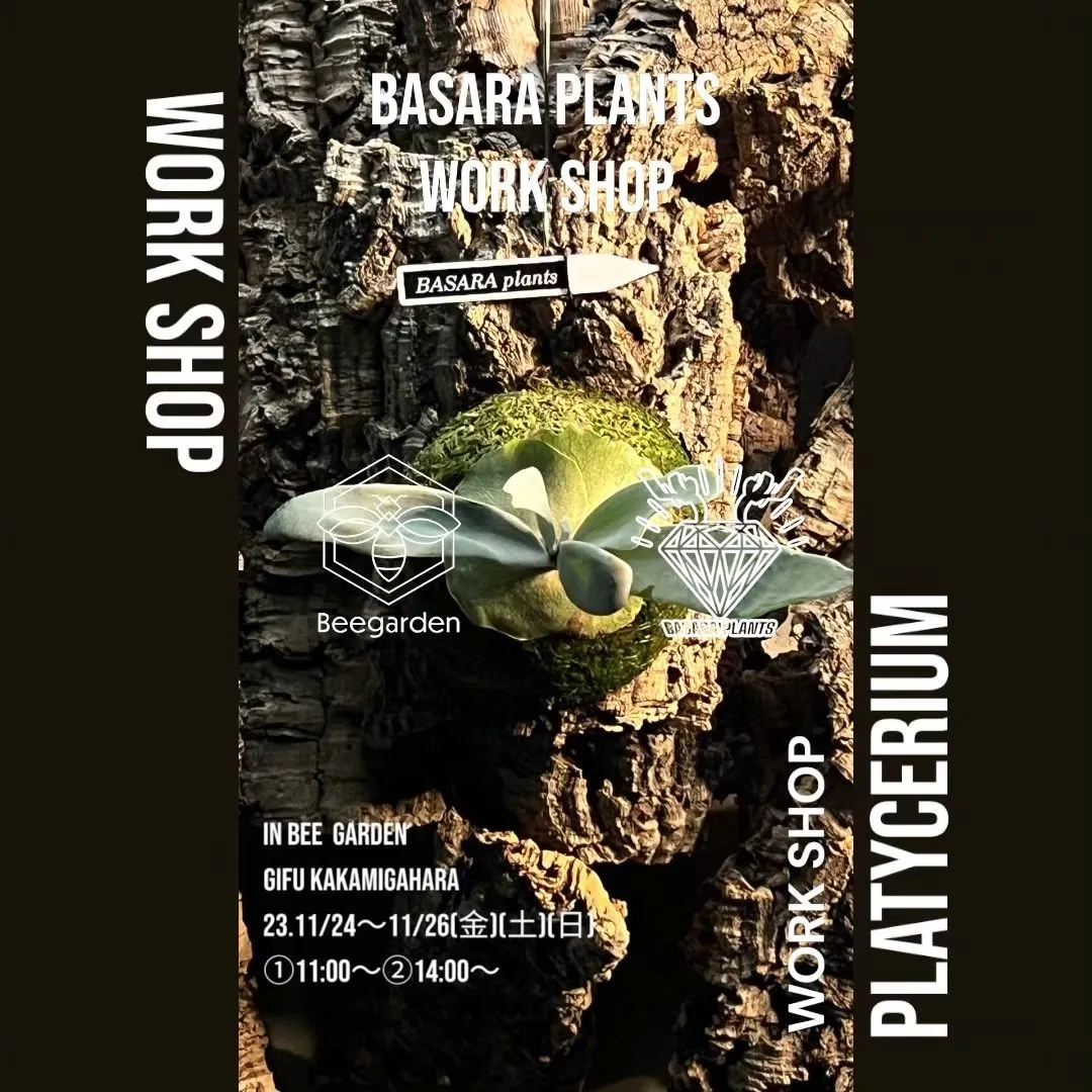 BASARA PLANTS WORKSHOP
