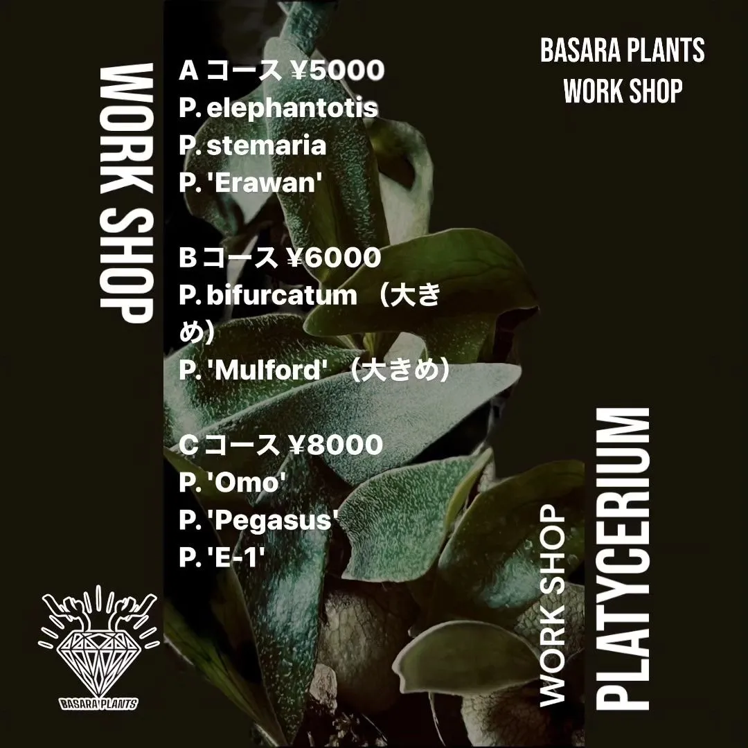 BASARA PLANTS WORKSHOP