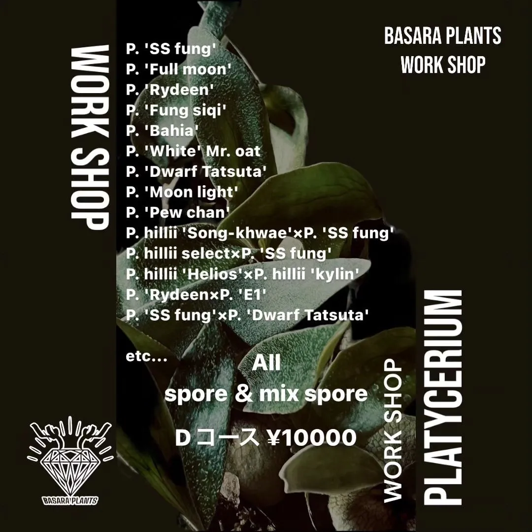 BASARA PLANTS WORKSHOP