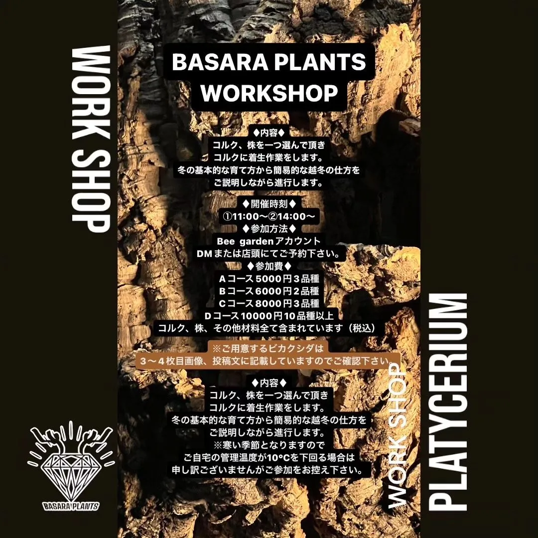 BASARA PLANTS WORKSHOP