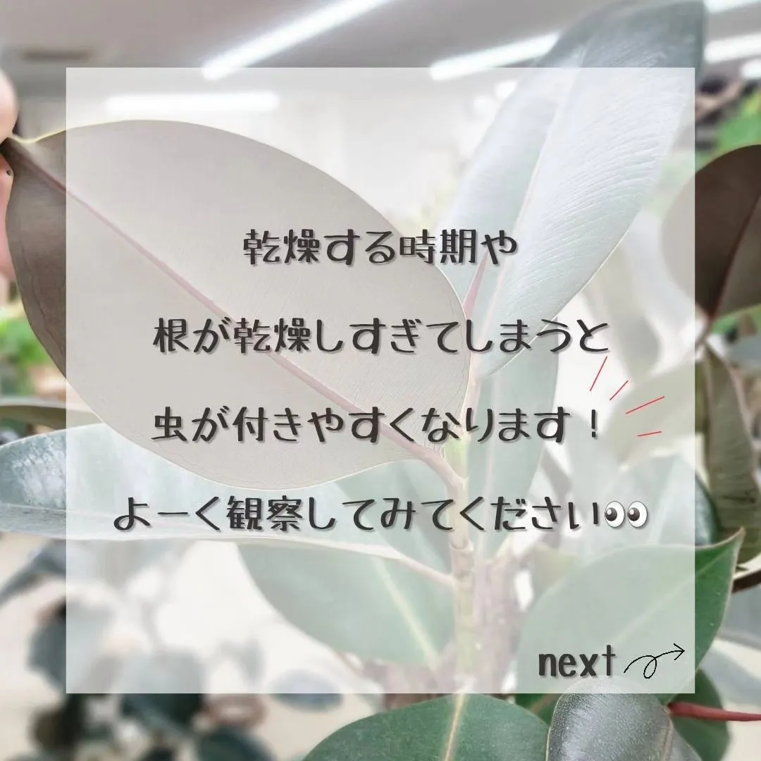 エアコンをつけると湿度が下がる、湿度が下がると害虫がついたり...