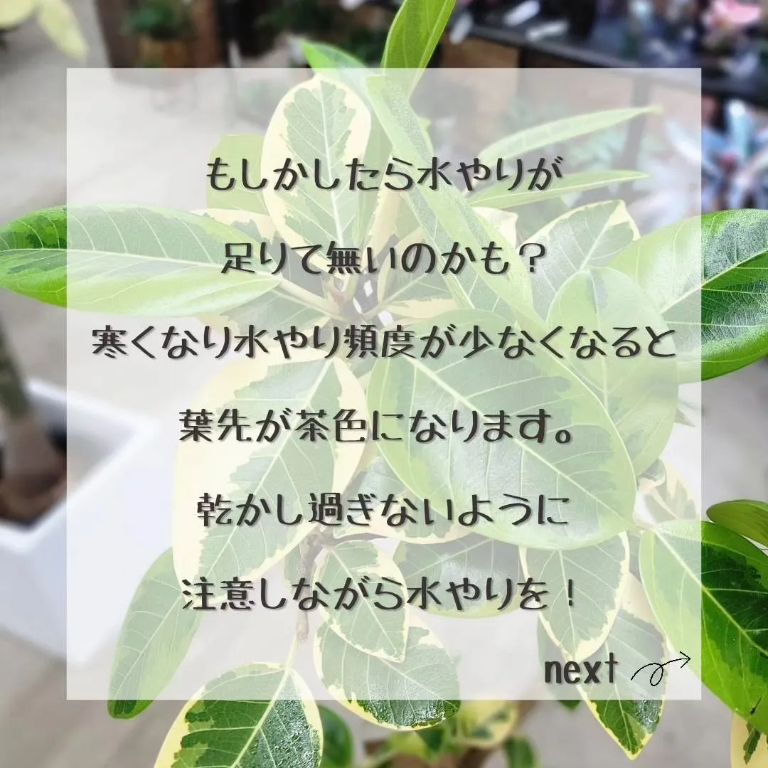 エアコンをつけると湿度が下がる、湿度が下がると害虫がついたり...