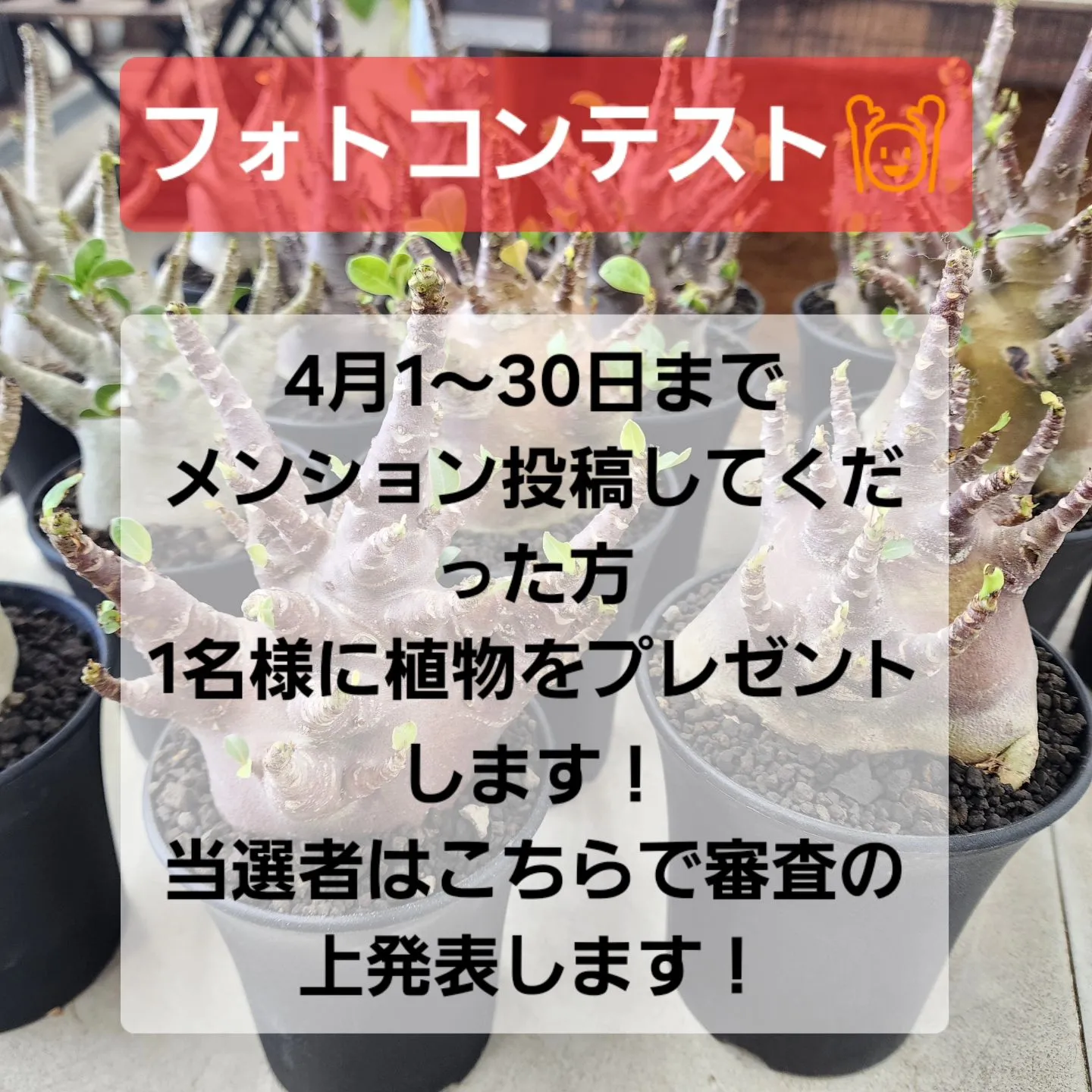 4月1～30日まで