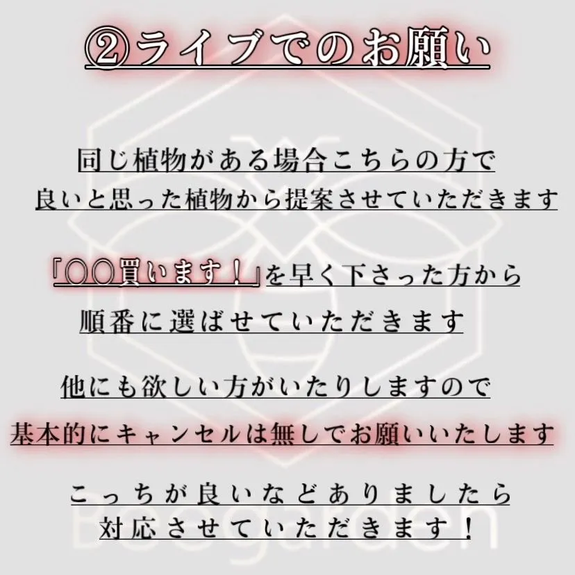 ✴︎Bee garden インスタライブについて✴︎