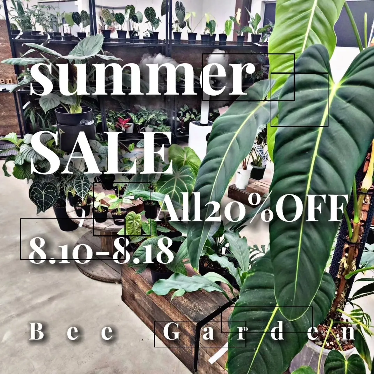 SUMMER SALE ！！