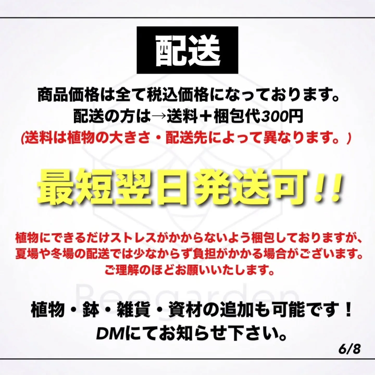 ✴︎Bee garden インスタライブについて✴︎