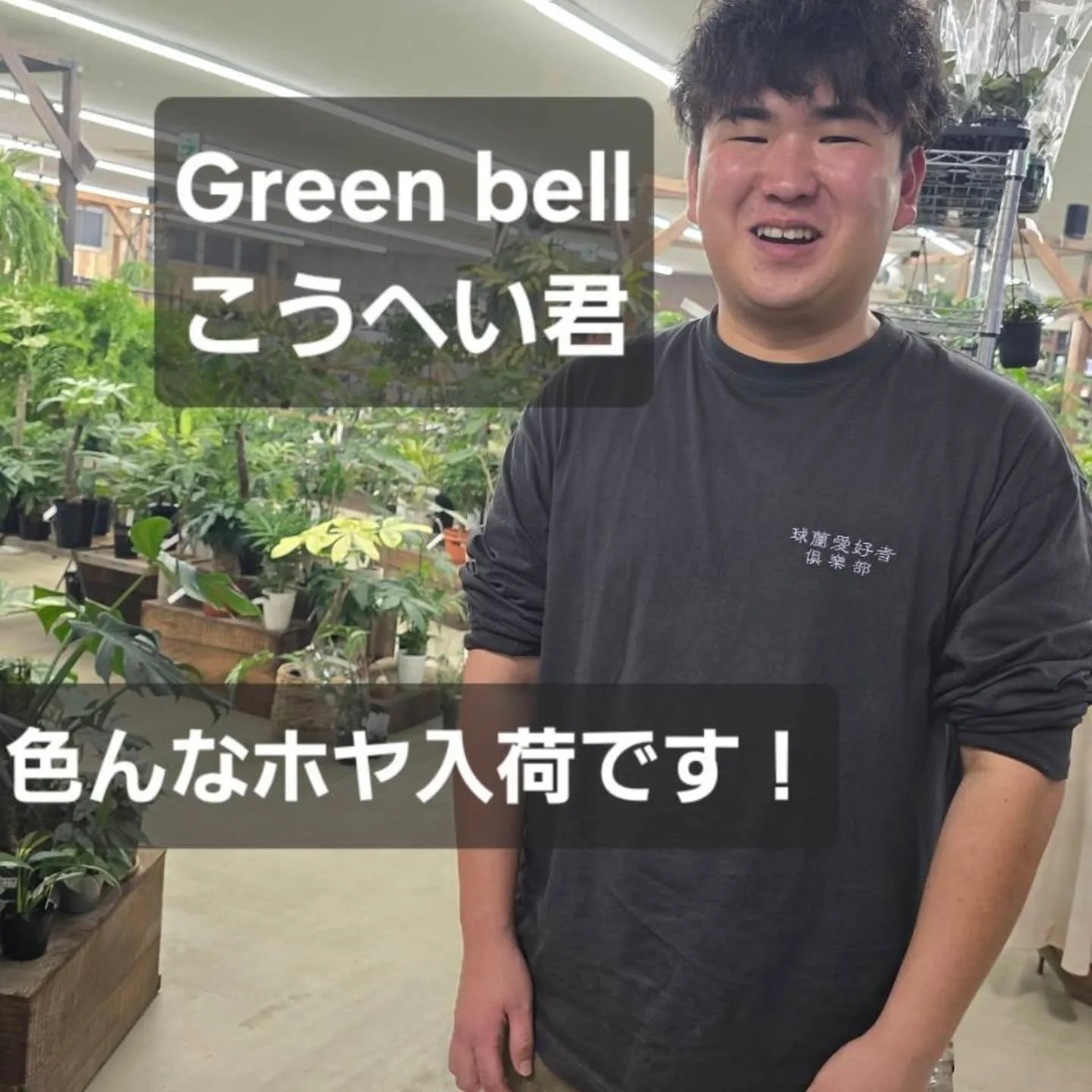 今週第一段Green bellこうへい君ホヤ