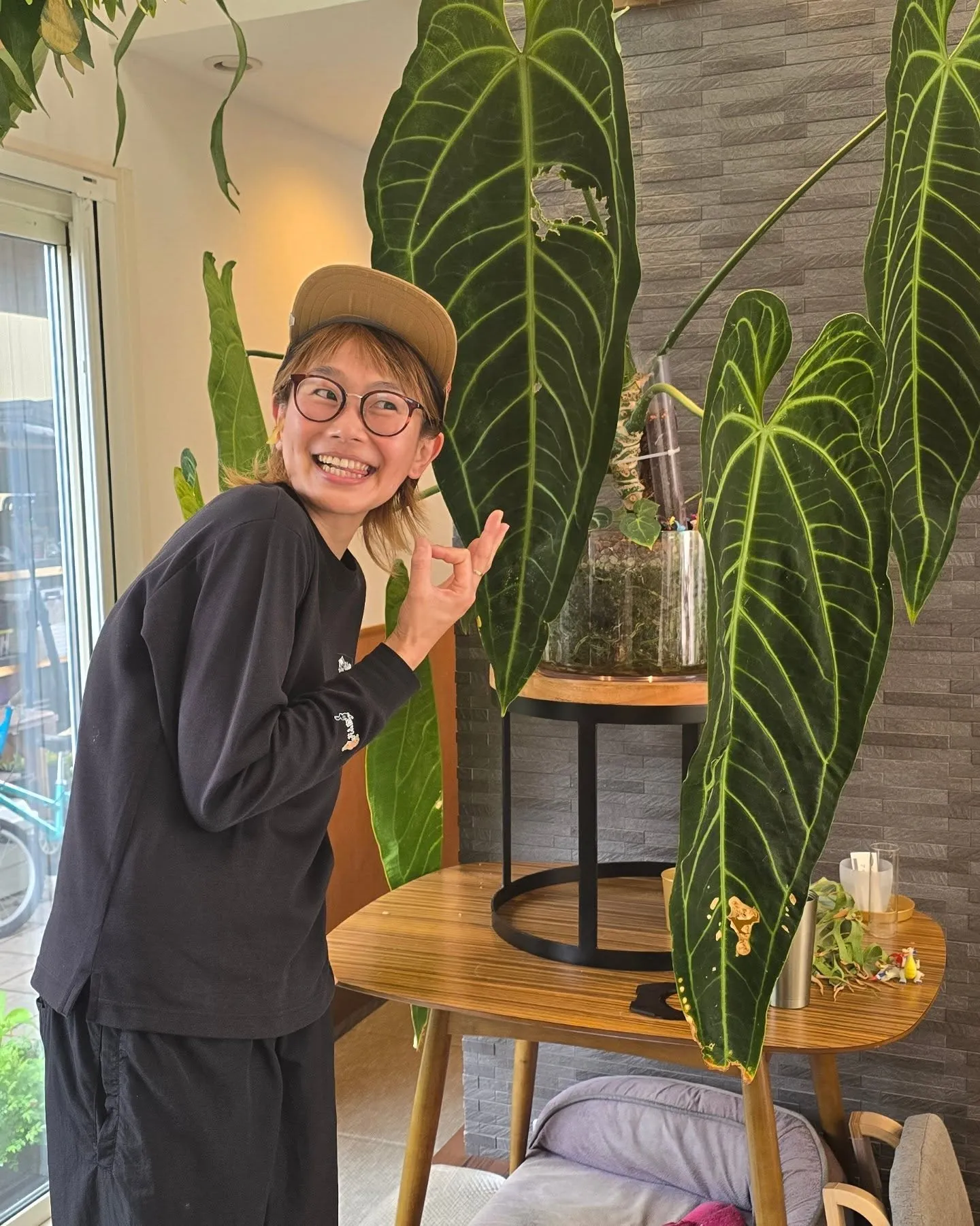 【緊急告知】超豪華！園芸界のトップランナーによるコラボライブ...