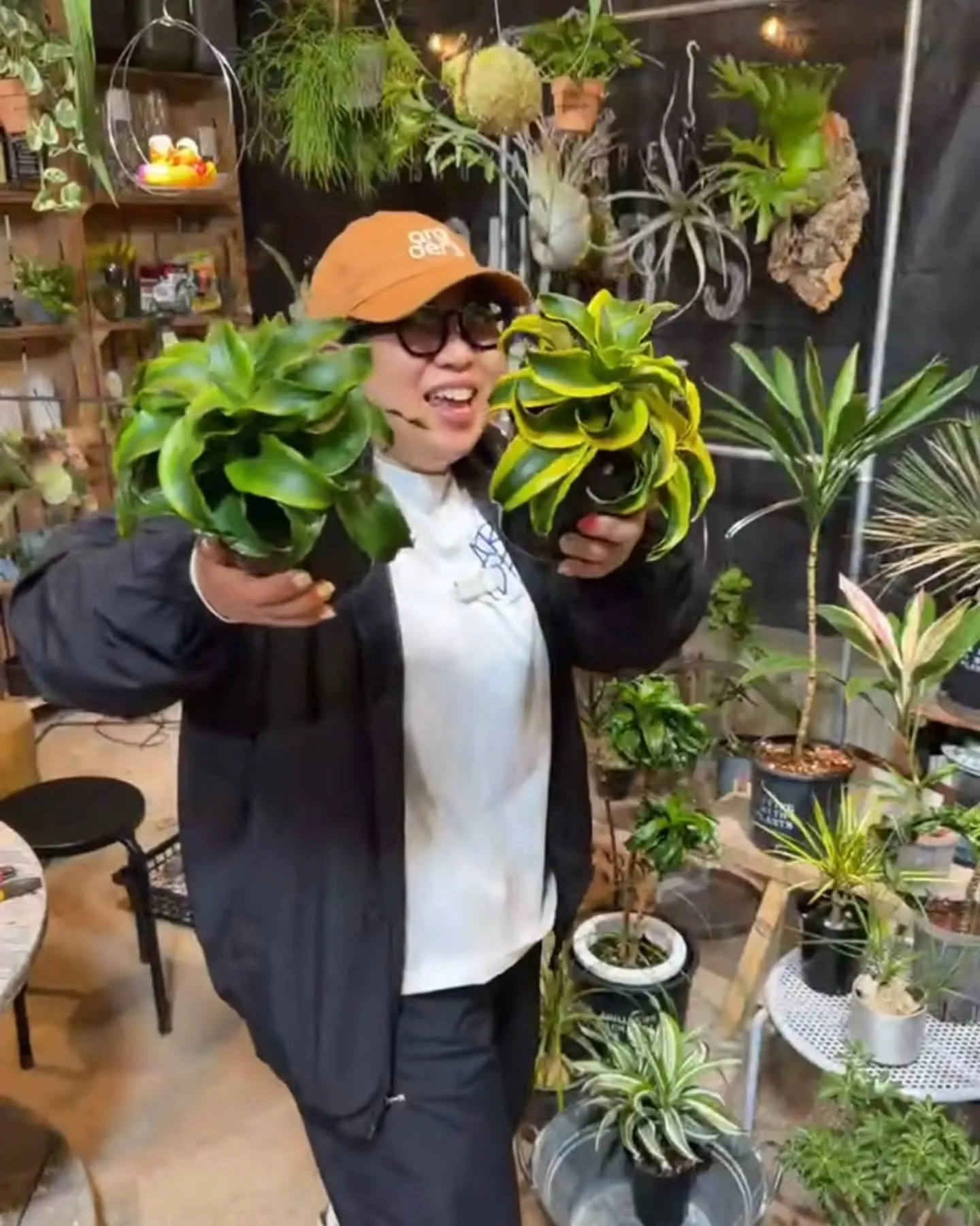 【緊急告知】超豪華！園芸界のトップランナーによるコラボライブ...