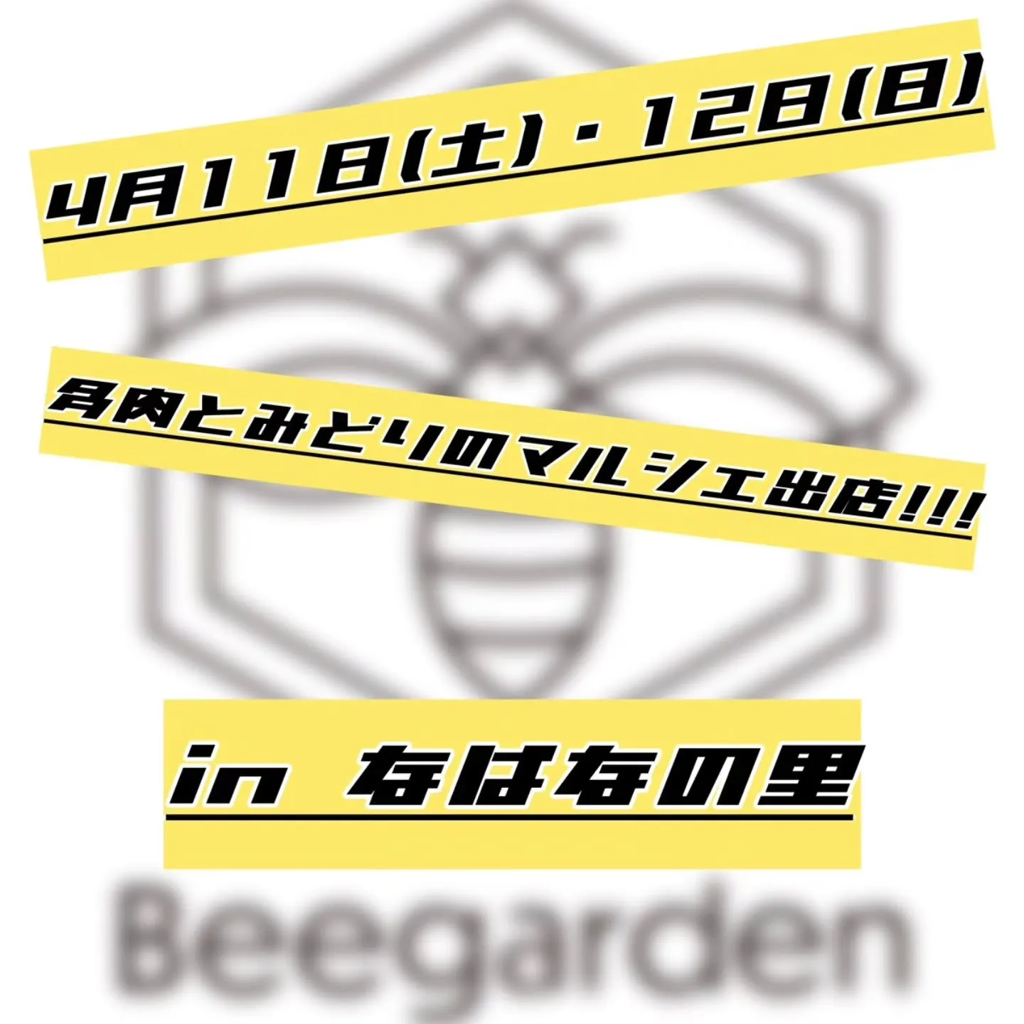 会えるチャンスです！！！