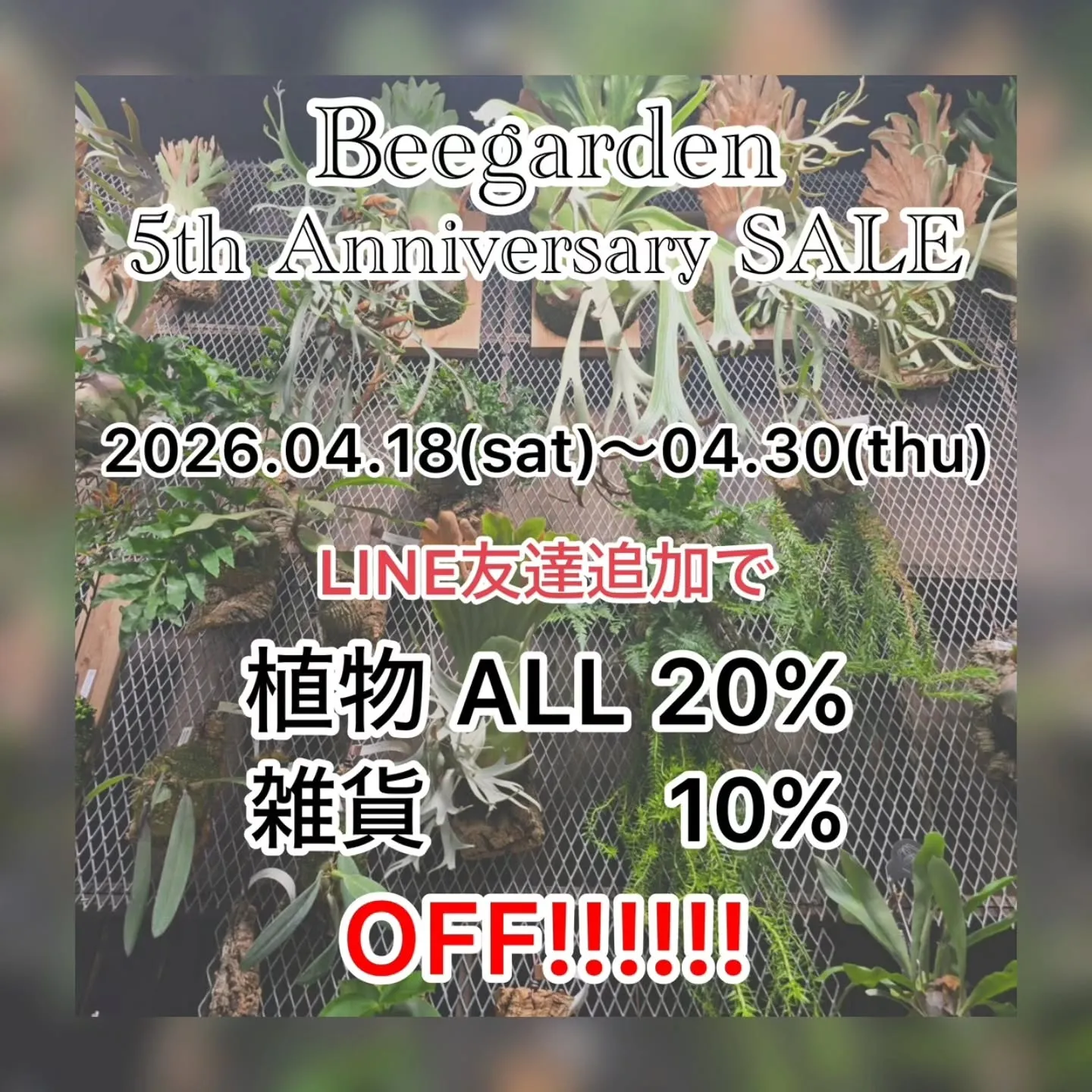 Beegarden4月20日で5周年を迎えることができます！