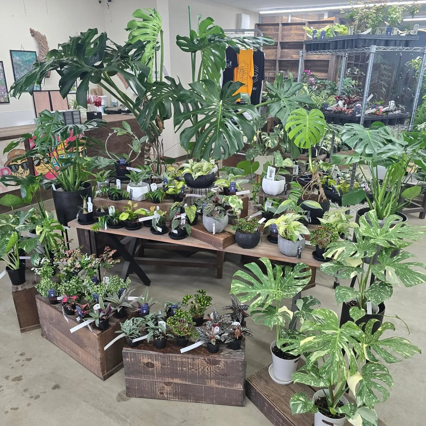 今週はイナちゃん植物沢山です！