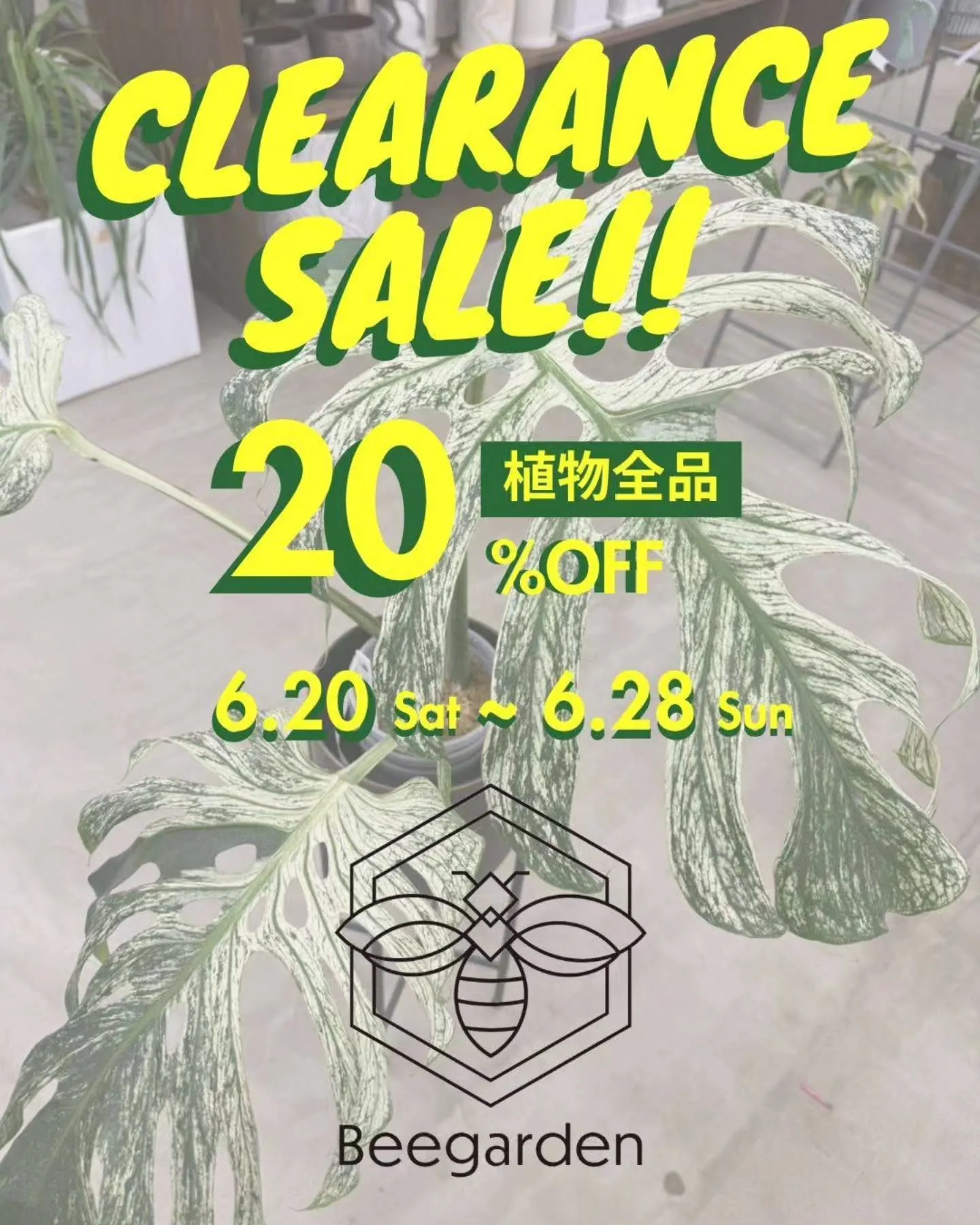 🐝決算セール‼️
