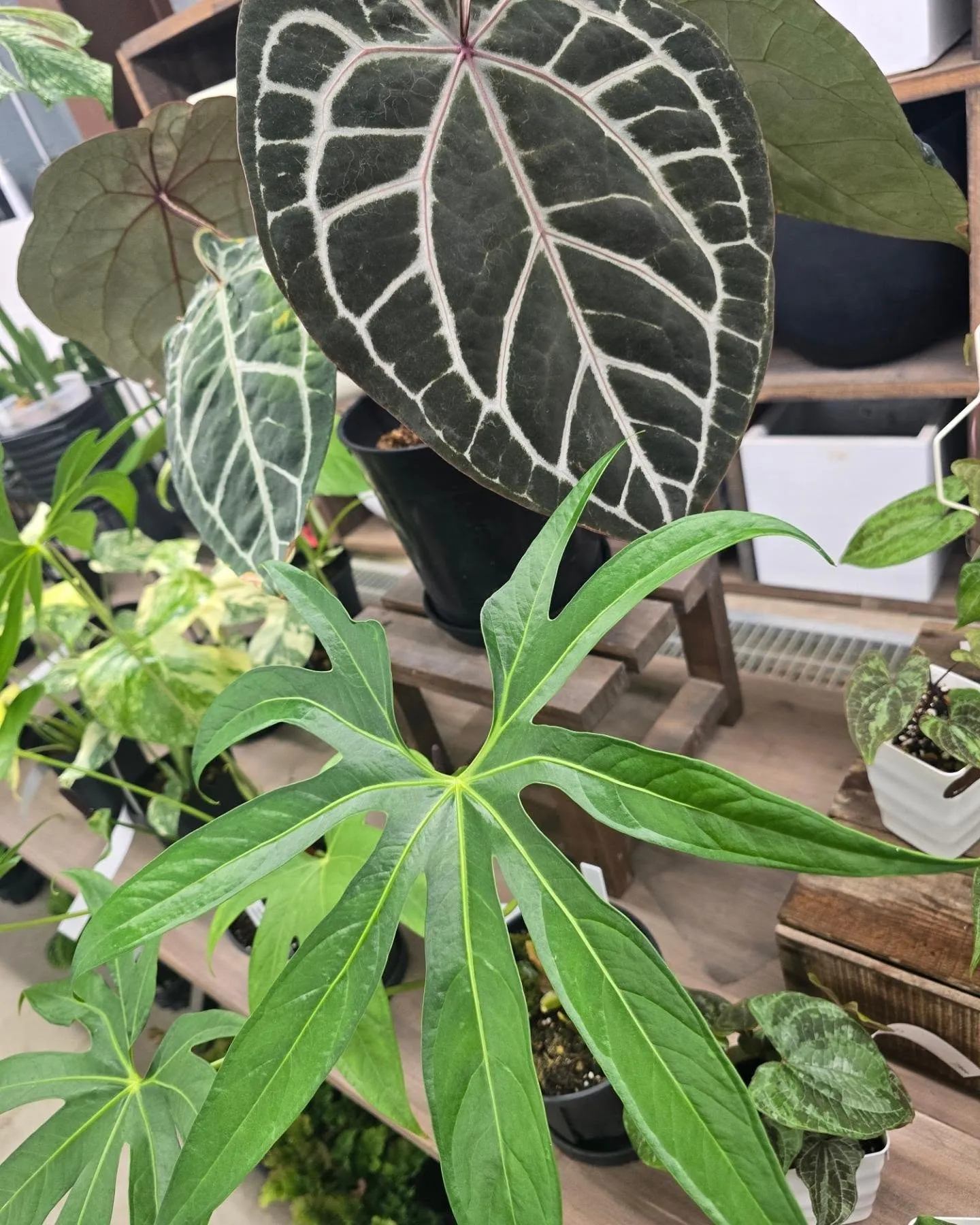 🐝決算セール‼️