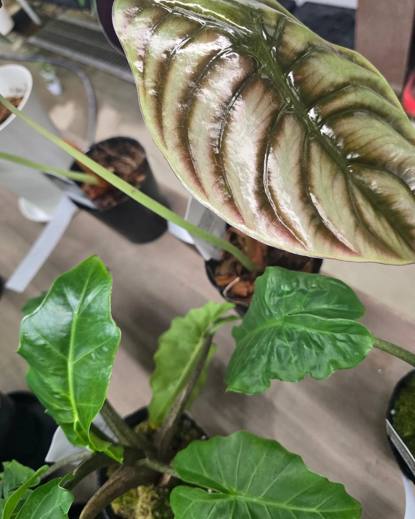 🐝決算セール‼️