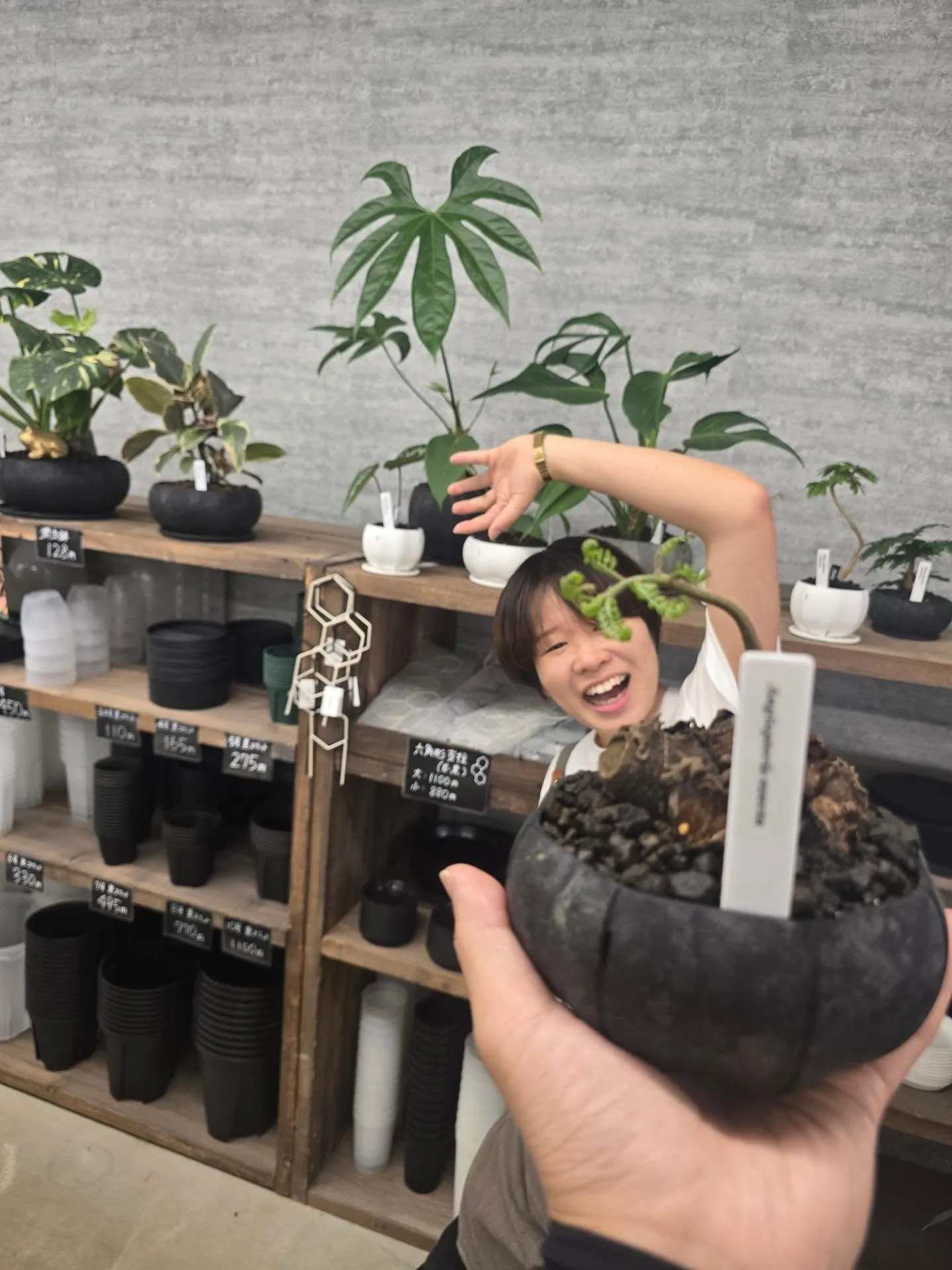 今週もどーんと入荷！