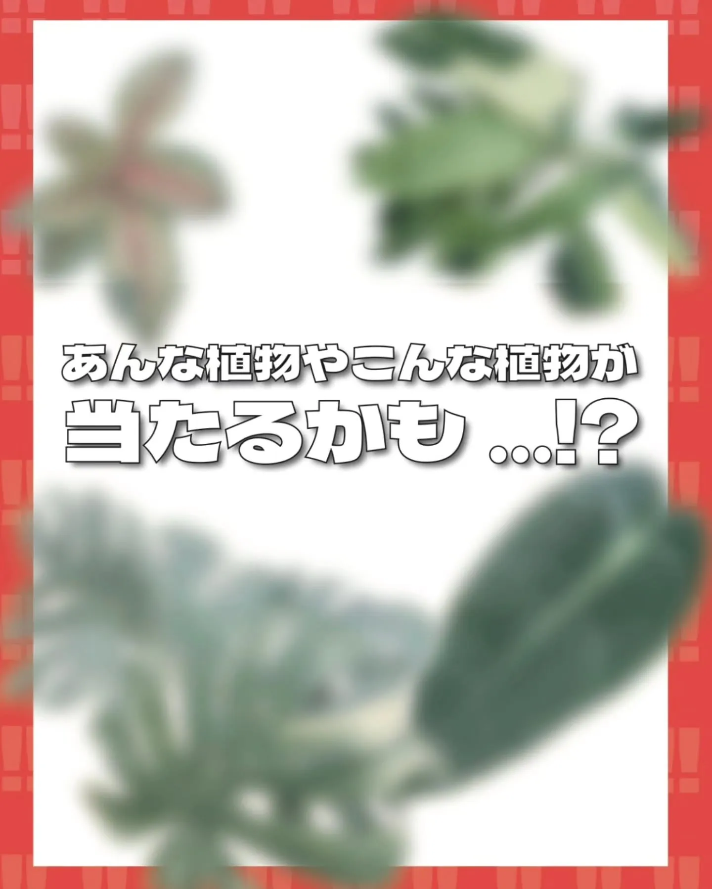 🌀ゲリラ開催ッ！！！🌀