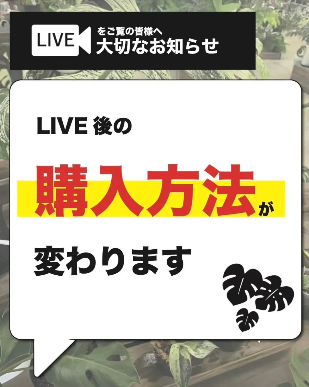 LIVEで購入されるお客様へ【大切なおしらせ】