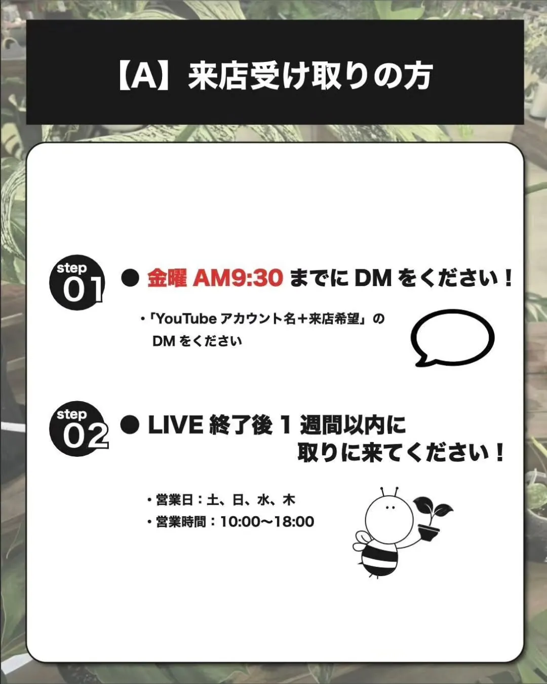 LIVEで購入されるお客様へ【大切なおしらせ】