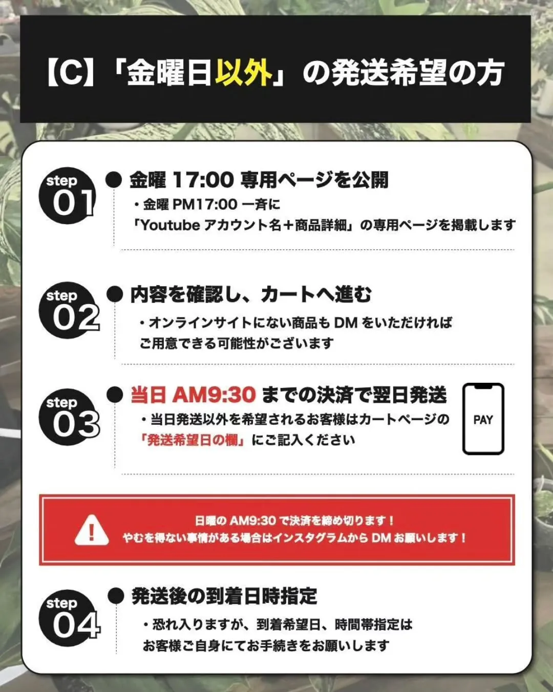 LIVEで購入されるお客様へ【大切なおしらせ】