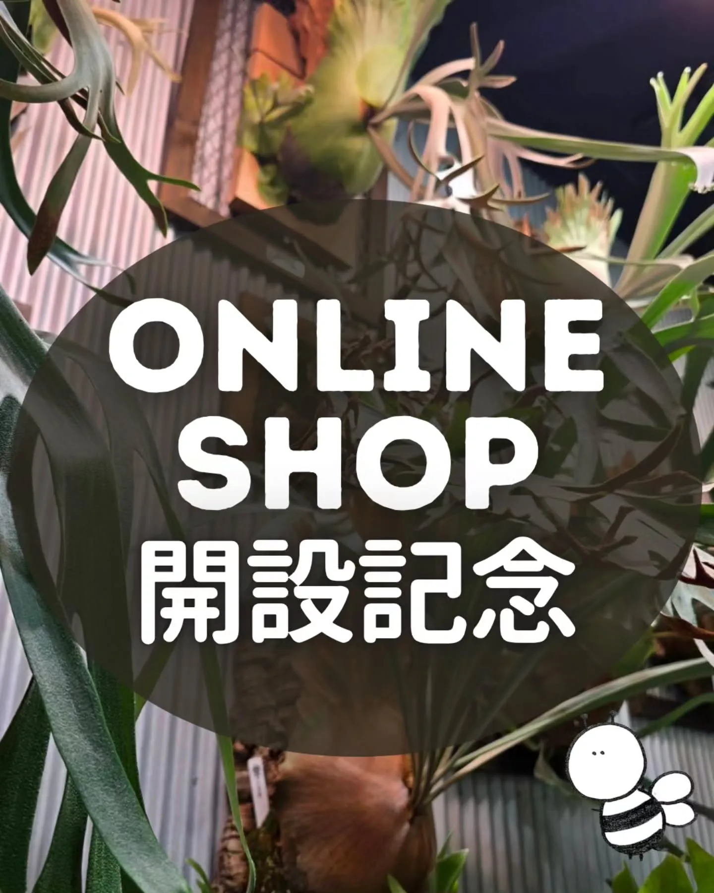 🎉 オンラインショップ開設記念開催 🎉