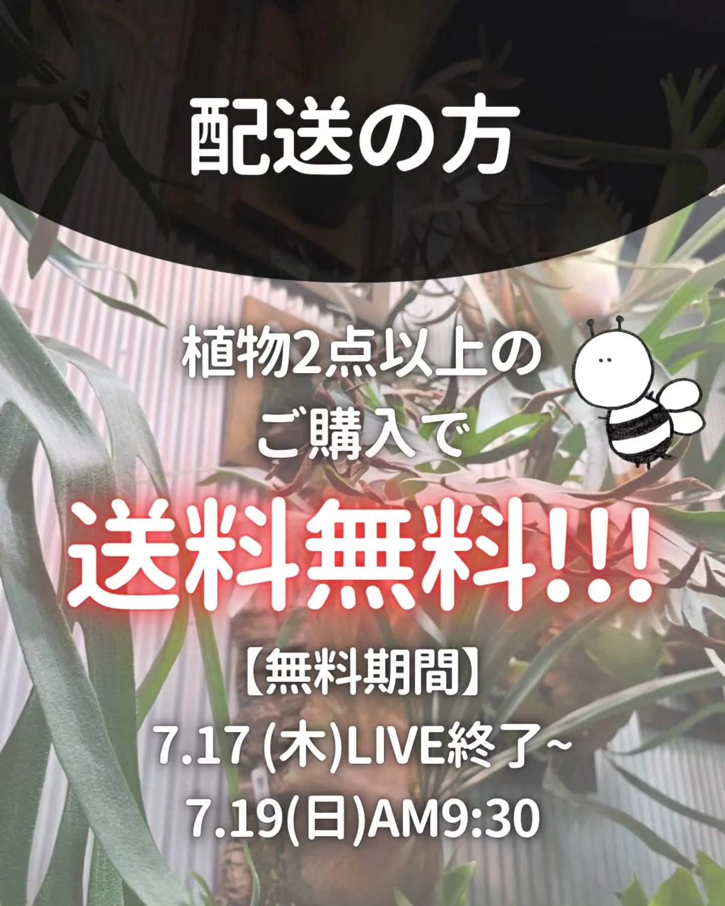 🎉 オンラインショップ開設記念開催 🎉