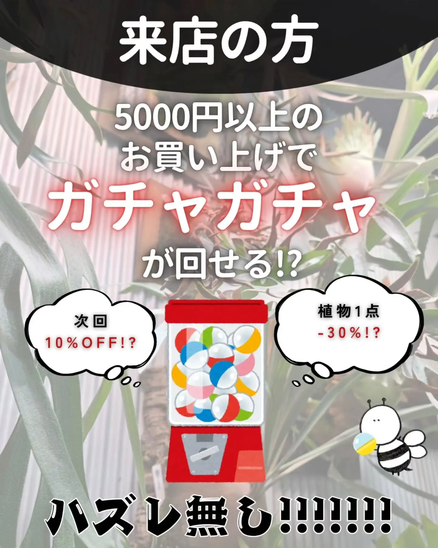 🎉 オンラインショップ開設記念開催 🎉
