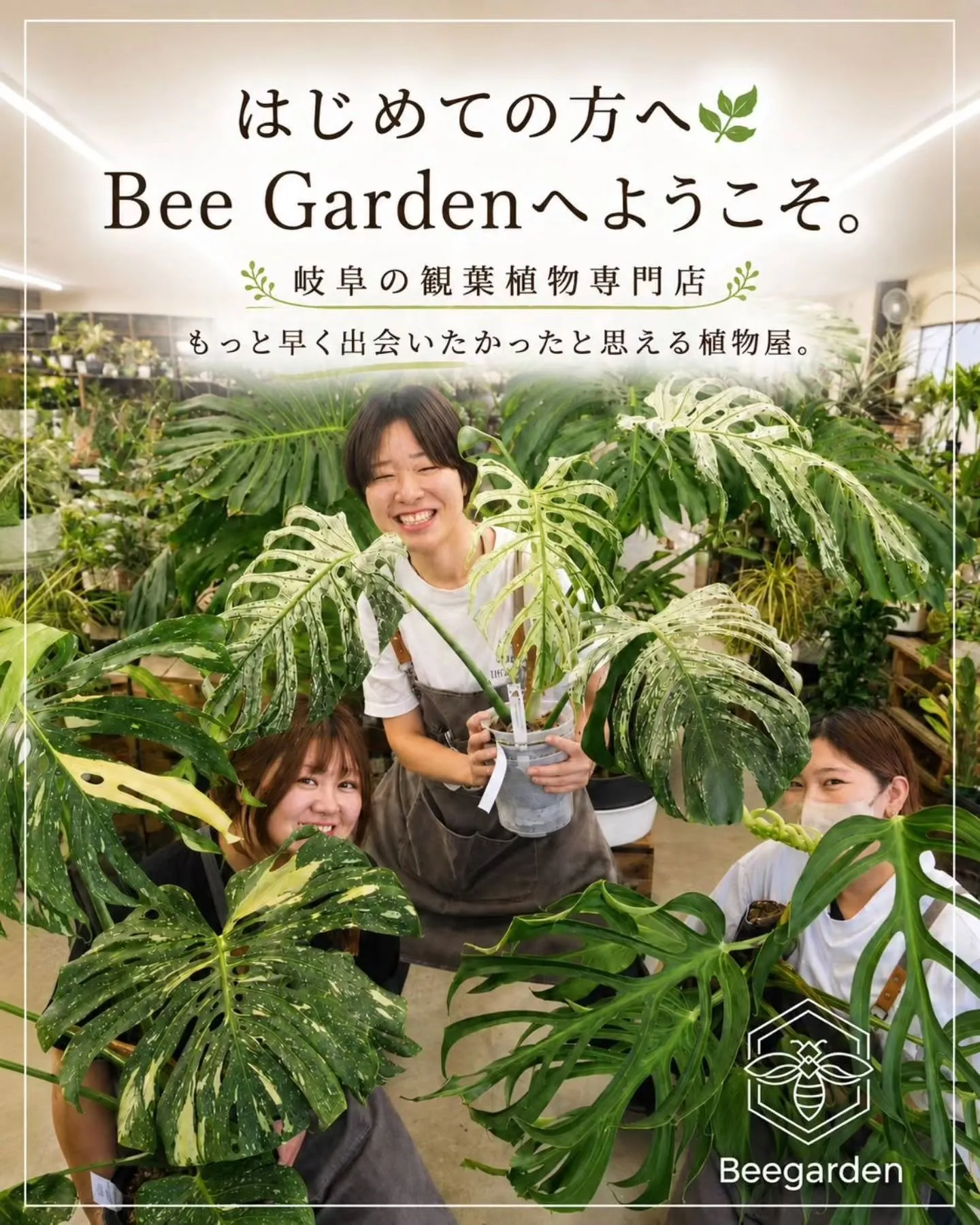 観葉植物を育ててみたいけど、何を選べばいいか分からない」