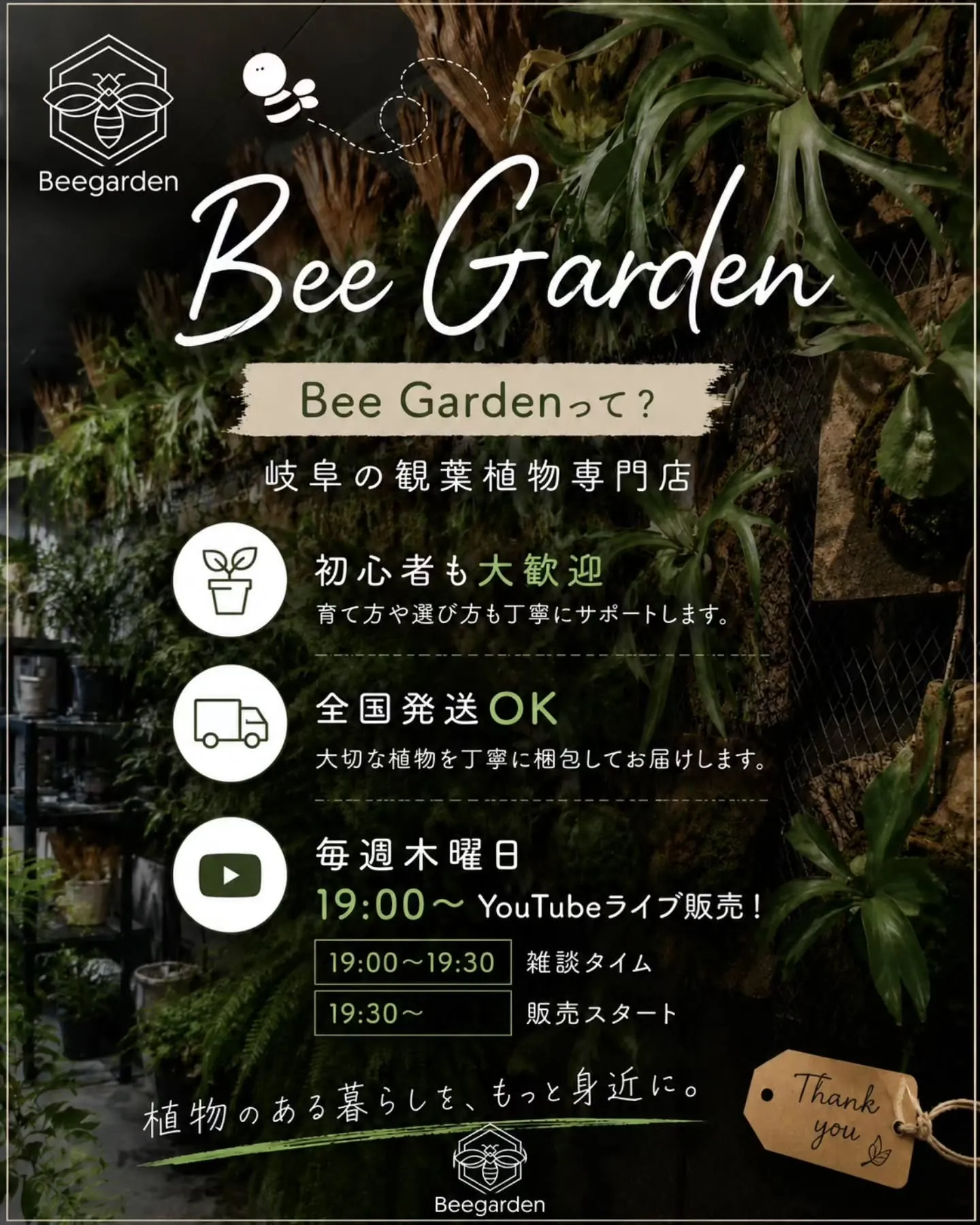 観葉植物を育ててみたいけど、何を選べばいいか分からない」