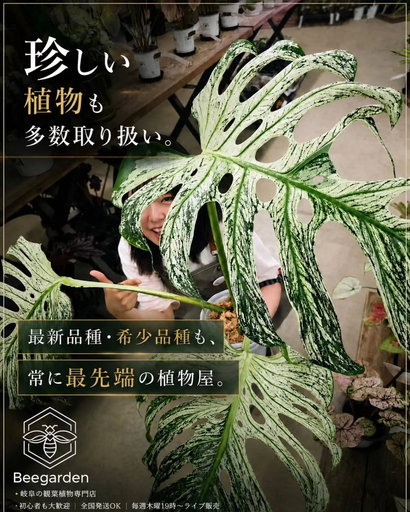 観葉植物を育ててみたいけど、何を選べばいいか分からない」