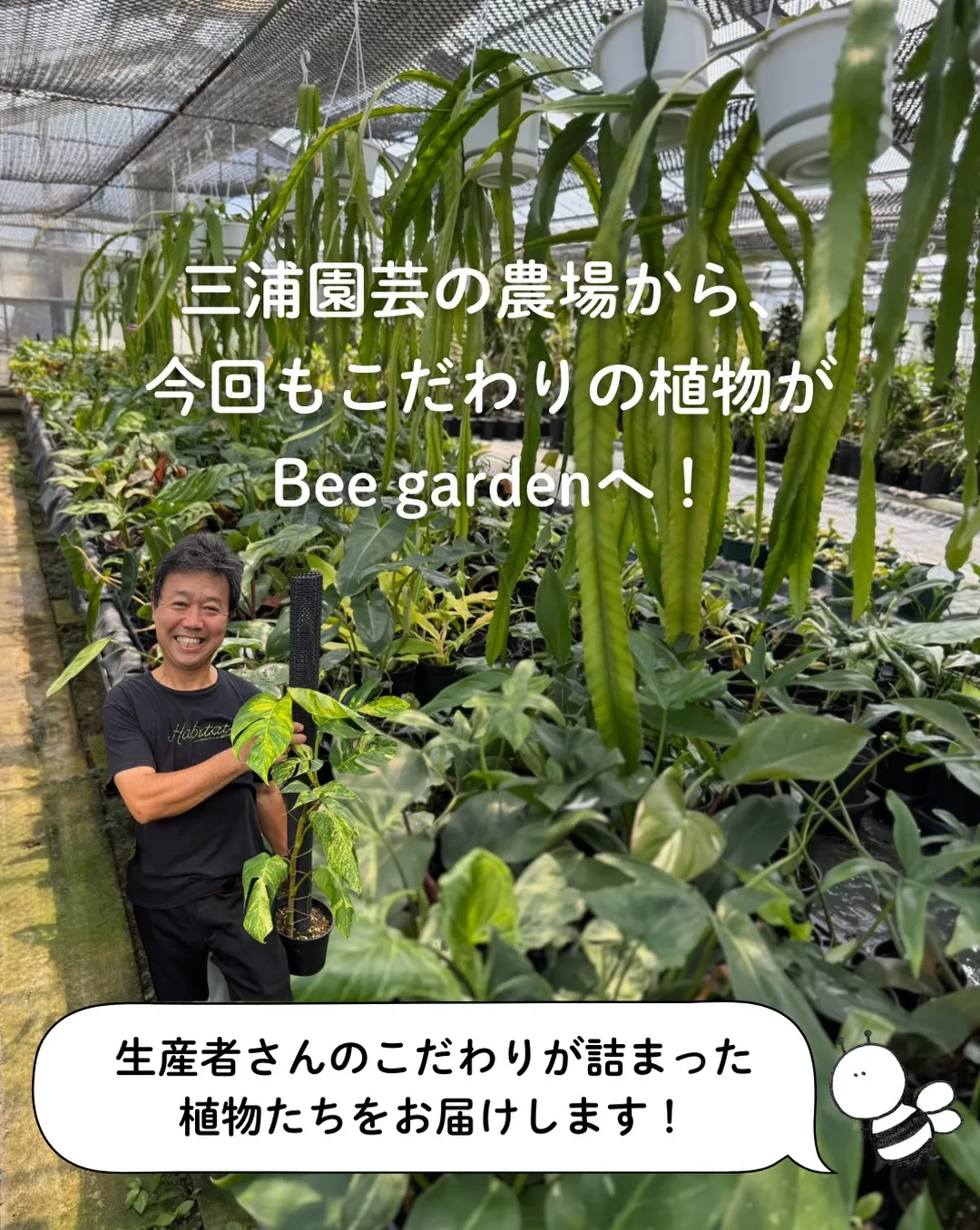 8/20(木)19:00〜🌿