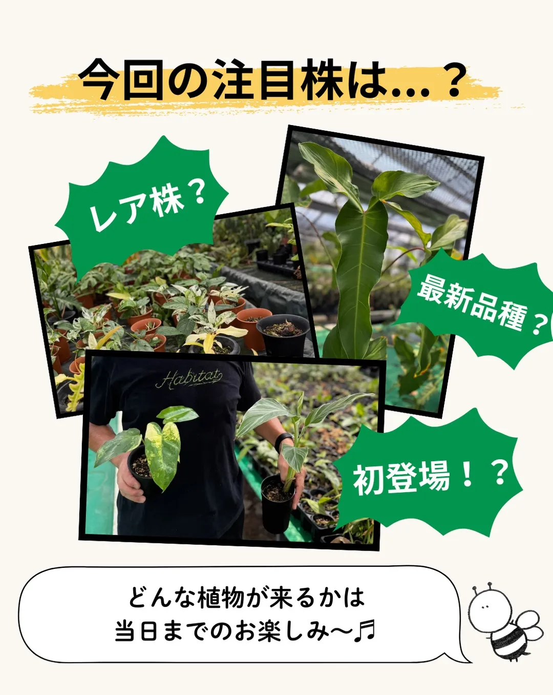 8/20(木)19:00〜🌿