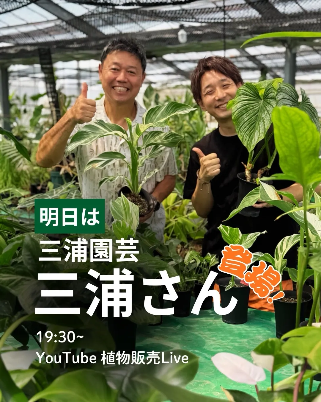 明日19:00〜のYouTubeライブは