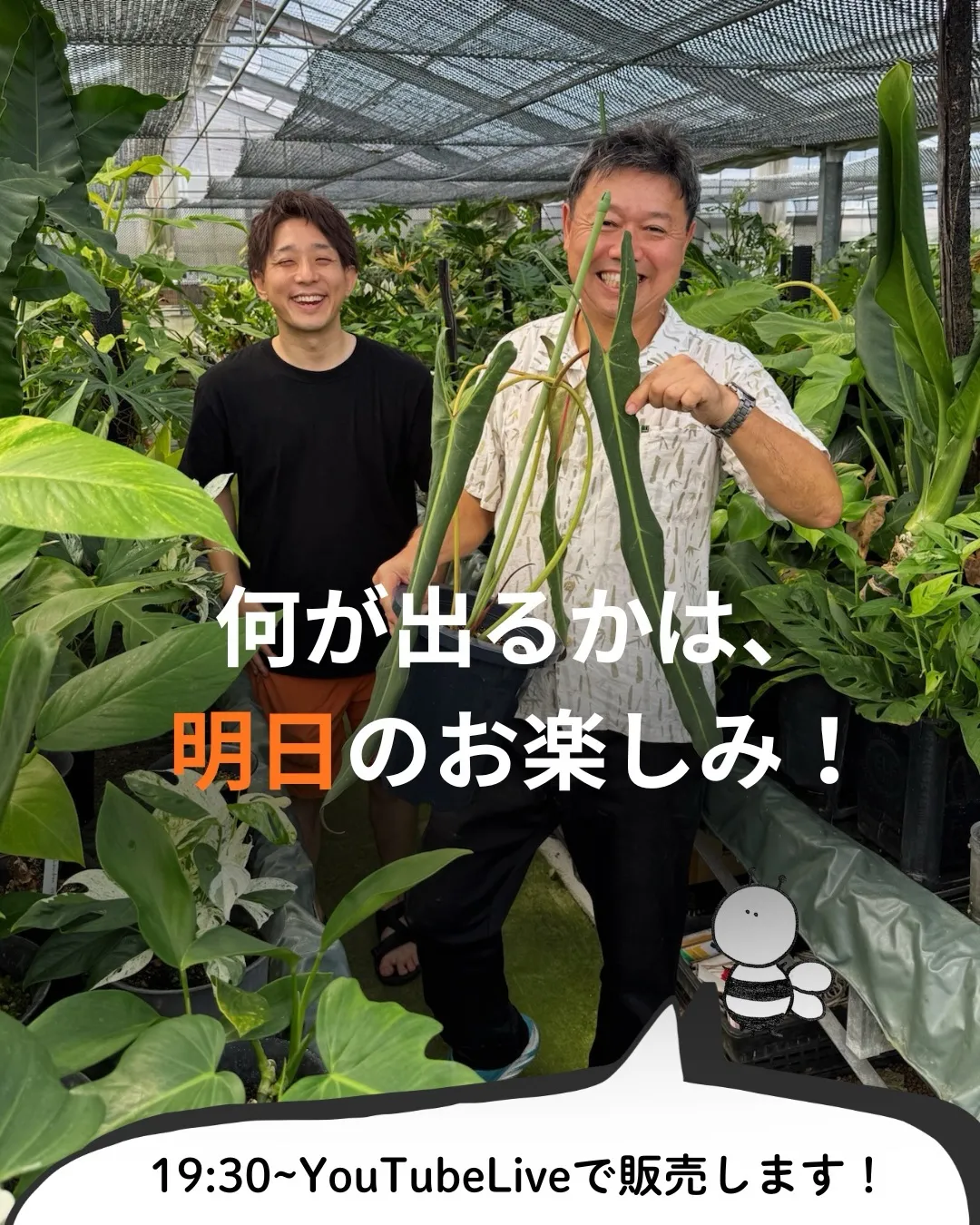 明日19:00〜のYouTubeライブは