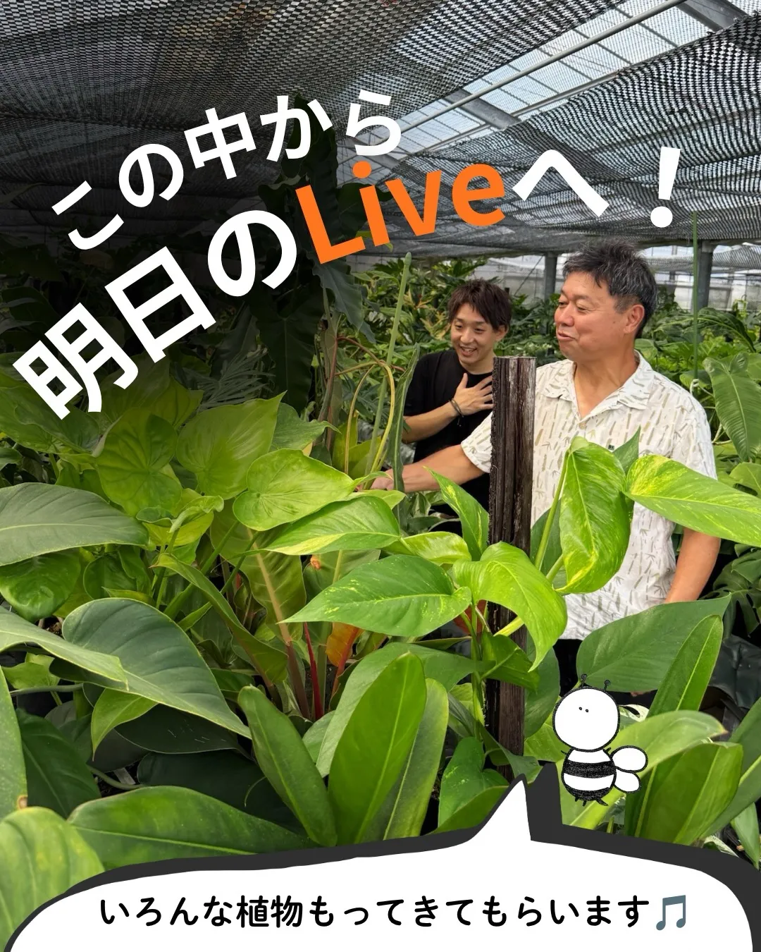 明日19:00〜のYouTubeライブは