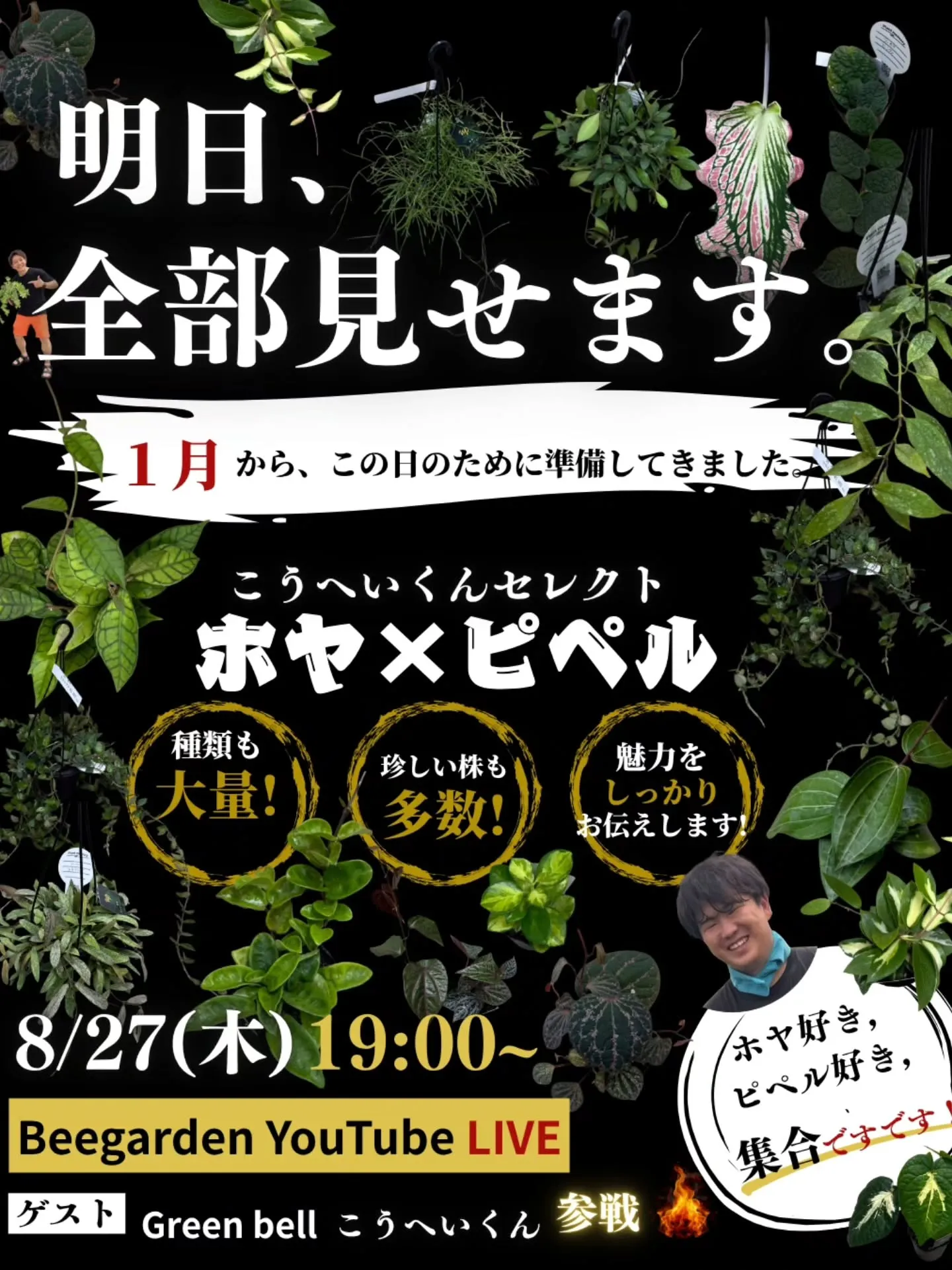 ホヤとピペルって、こんなに面白い❗❗