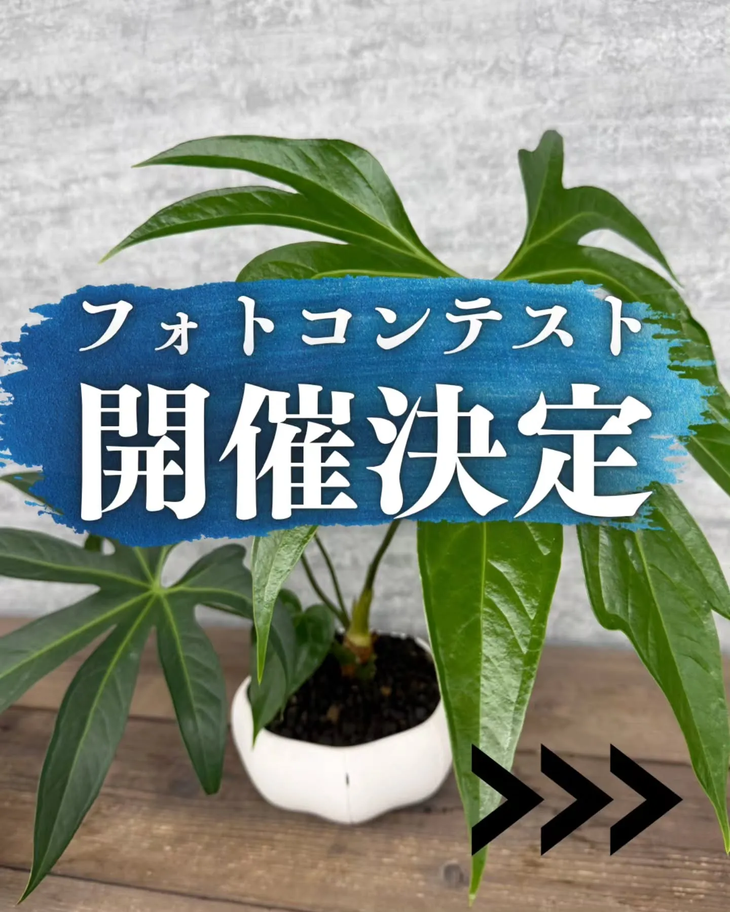 📸 Bee garden フォトコンテスト開催！