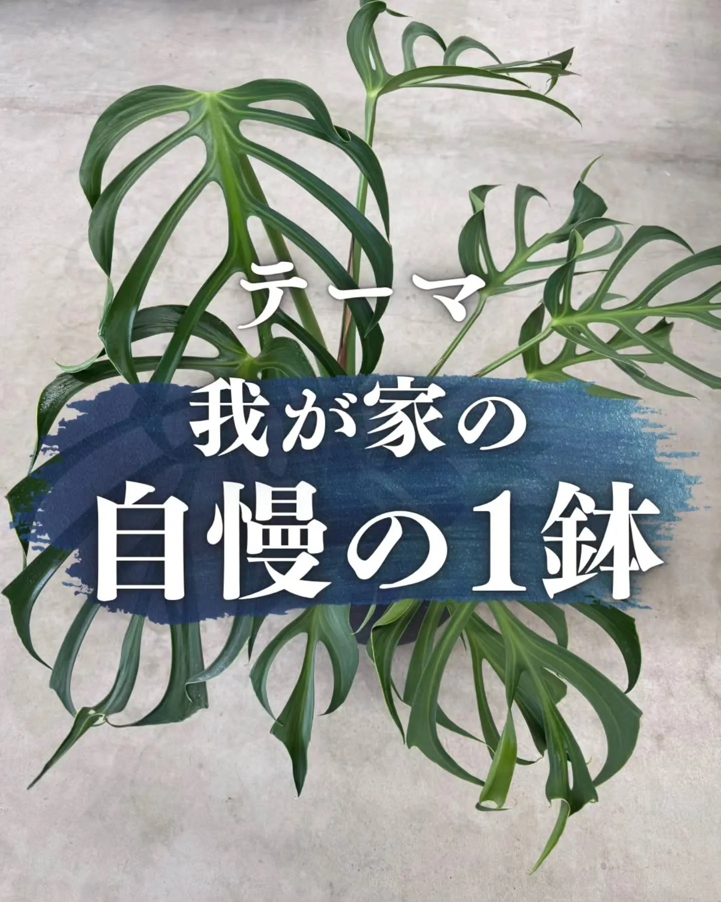 📸 Bee garden フォトコンテスト開催！