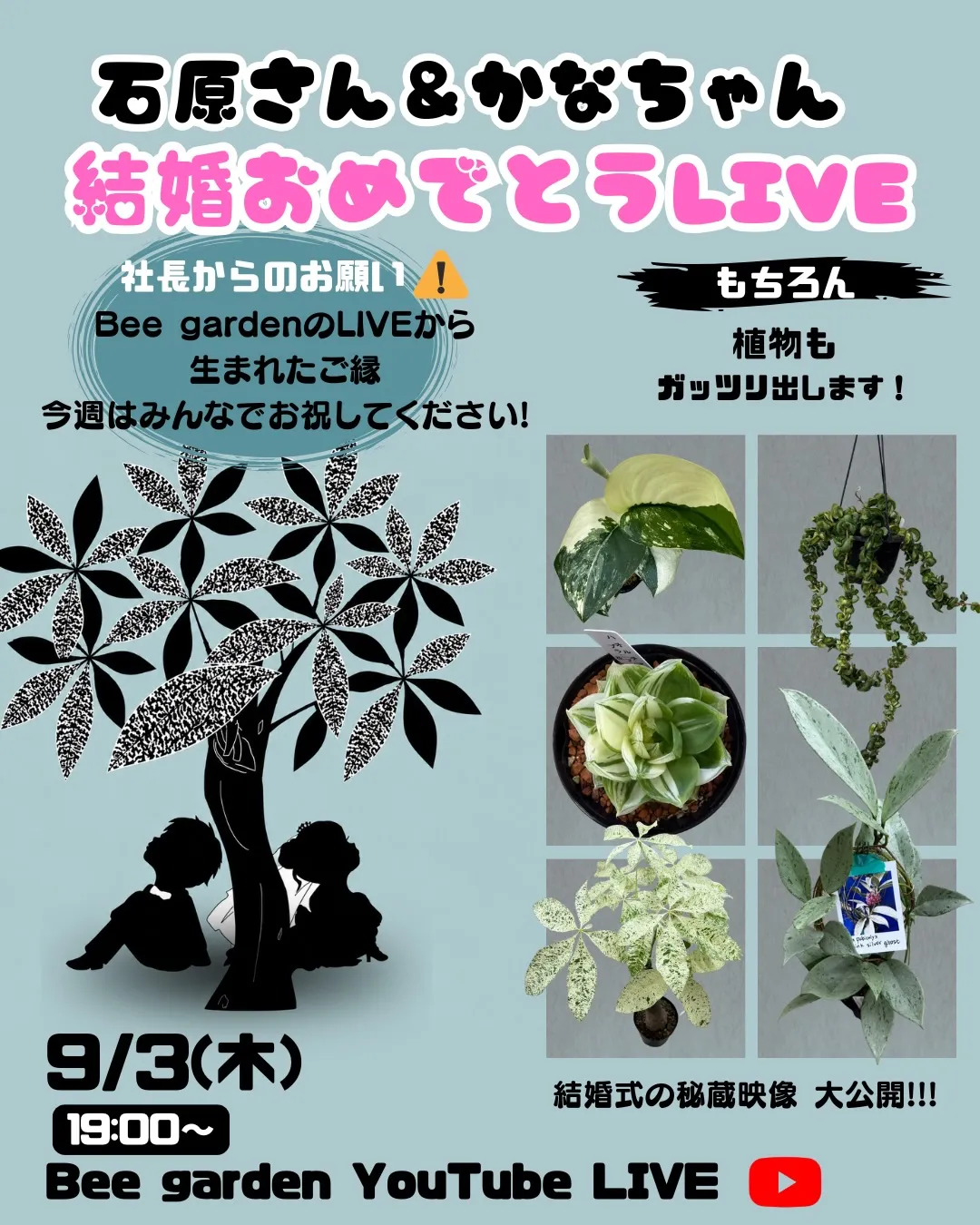 💍🌿 Bee GardenのLIVEから、夫婦が誕生しました...