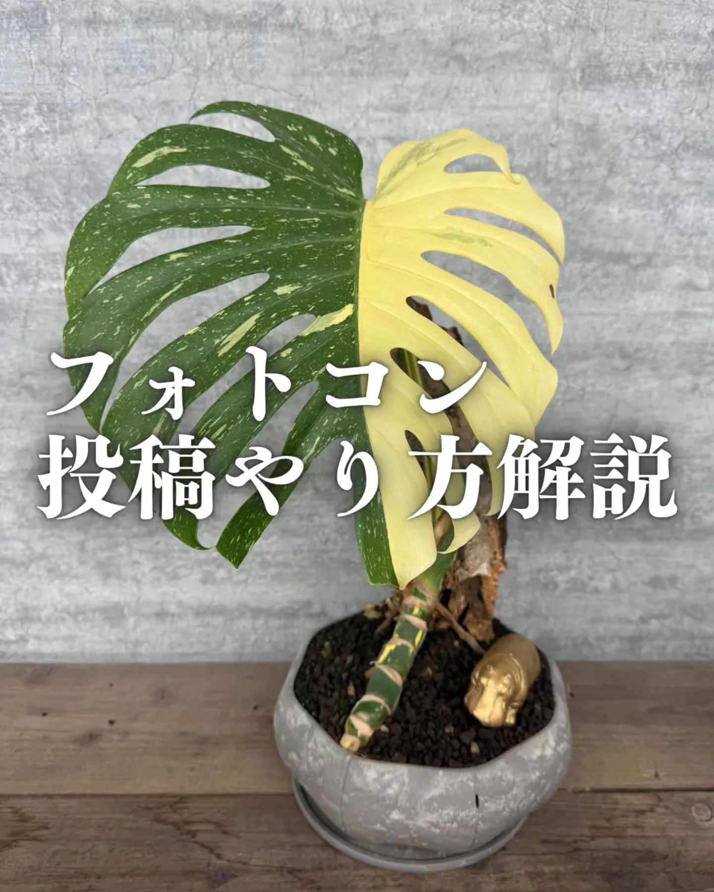 【応募方法】