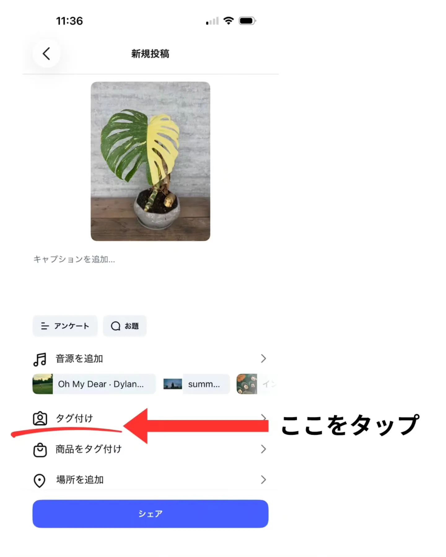 【応募方法】