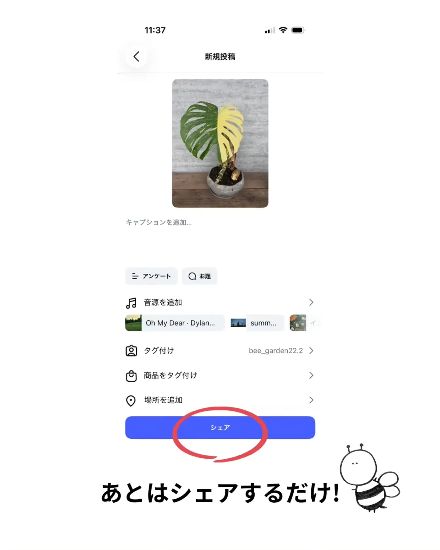 【応募方法】