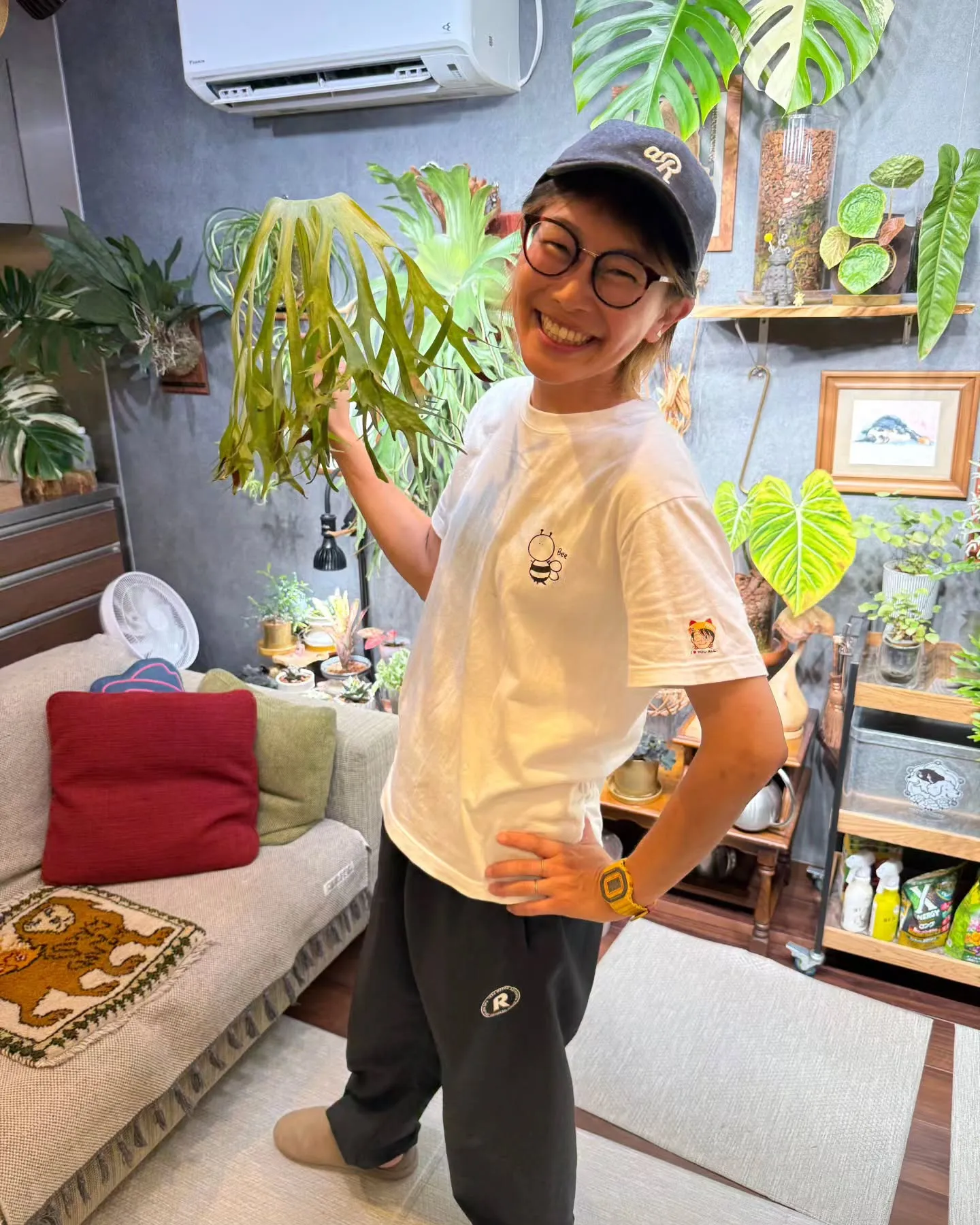 最速！ALOCOCOに植えて育った株を販売🌿