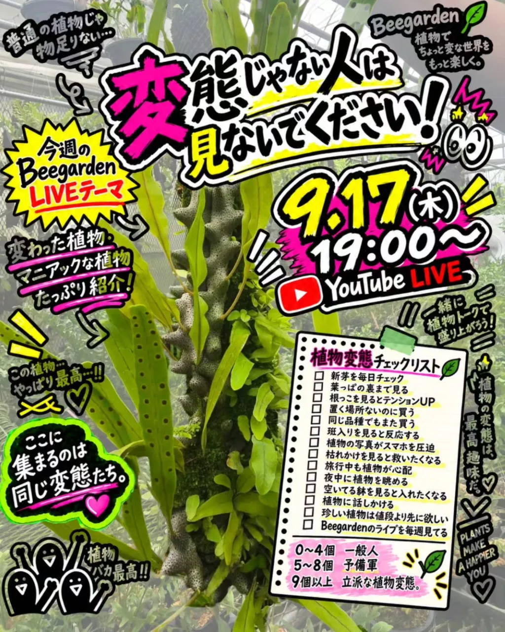 今週のBeegarden LIVEは、ちょっと濃いめです！