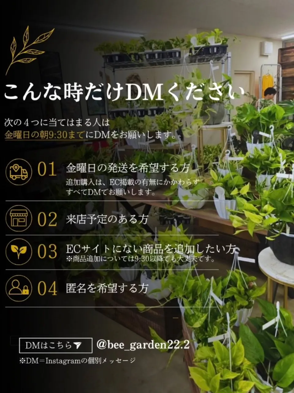 ＼ YouTube LIVEで植物買ったことありますか？🌿 ...