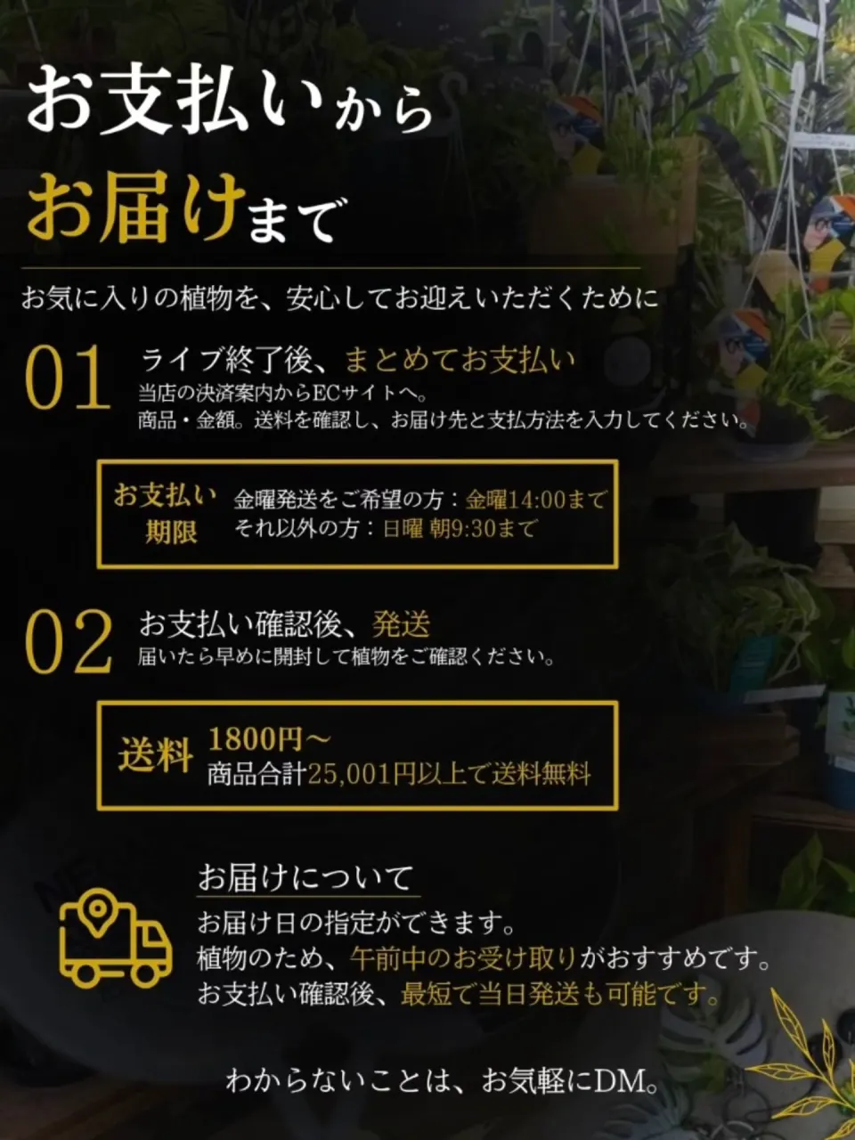 ＼ YouTube LIVEで植物買ったことありますか？🌿 ...