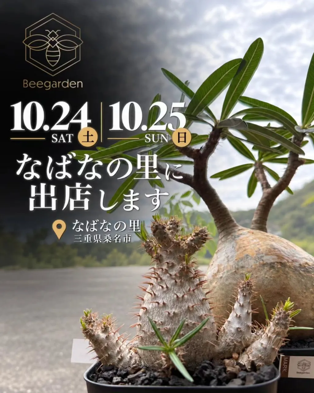 🌿 10月24日(土)・25日(日)